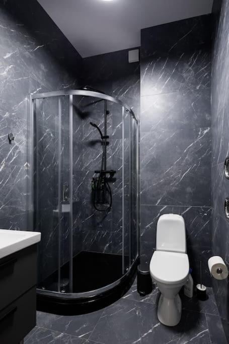 Appartamento Art Nouveau - 210 M2 Riga